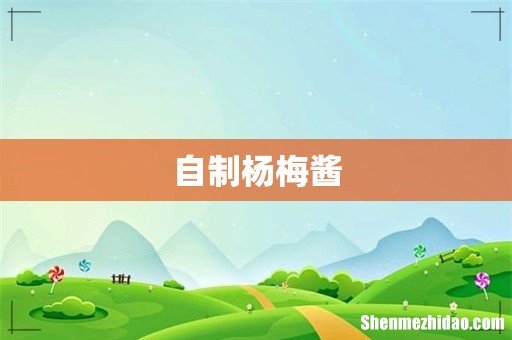 自制杨梅酱