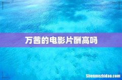 万茜的电影片酬高吗