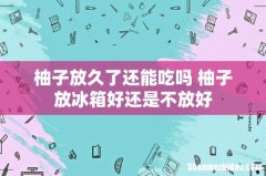 柚子放久了还能吃吗 柚子放冰箱好还是不放好