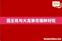 霸王花与火龙果花哪种好吃