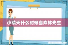 小晴天什么时候喜欢林先生