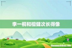 李一桐和檀健次长得像