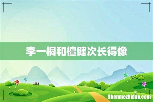 李一桐和檀健次长得像
