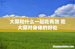 大蒜和什么一起吃有效 吃大蒜对身体的好处