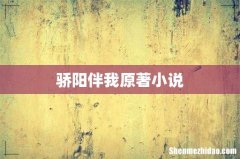 骄阳伴我原著小说