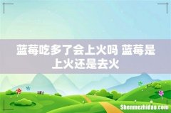 蓝莓吃多了会上火吗 蓝莓是上火还是去火