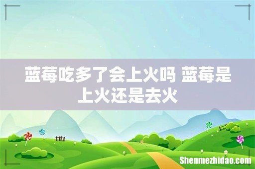 蓝莓吃多了会上火吗 蓝莓是上火还是去火