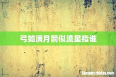 弓如满月箭似流星指谁