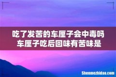 吃了发苦的车厘子会中毒吗 车厘子吃后回味有苦味是什么原因