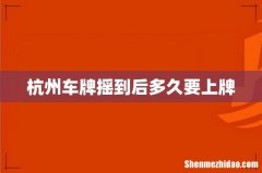 杭州车牌摇到后多久要上牌