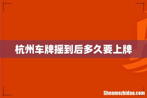 杭州车牌摇到后多久要上牌