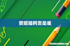 赘婿陆阿贵是谁