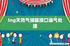 lng天然气储罐接口漏气处理