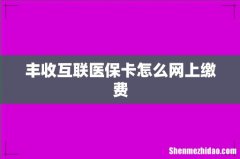 丰收互联医保卡怎么网上缴费