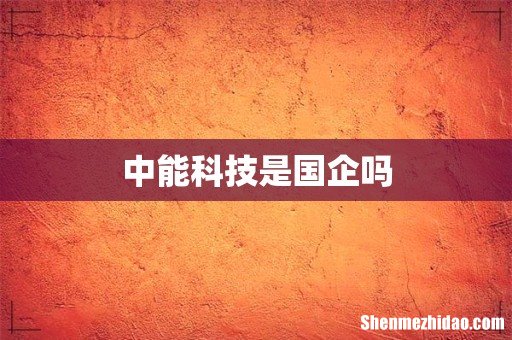中能科技是国企吗