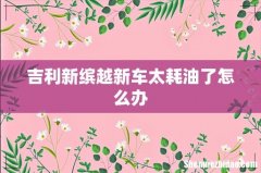 吉利新缤越新车太耗油了怎么办
