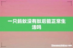 一只蚂蚁没有蚁后能正常生活吗