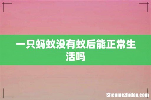 一只蚂蚁没有蚁后能正常生活吗