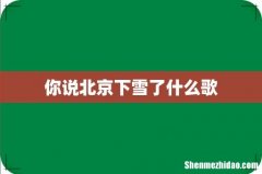 你说北京下雪了什么歌