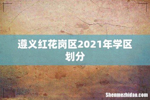 遵义红花岗区2021年学区划分