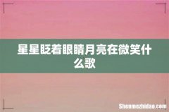 星星眨着眼睛月亮在微笑什么歌