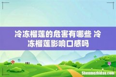 冷冻榴莲的危害有哪些 冷冻榴莲影响口感吗