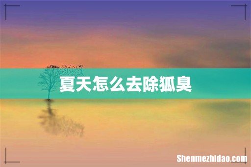 夏天怎么去除狐臭