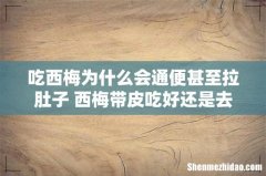 吃西梅为什么会通便甚至拉肚子 西梅带皮吃好还是去皮好