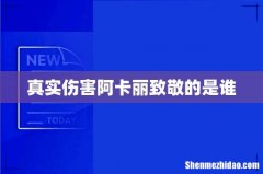 真实伤害阿卡丽致敬的是谁
