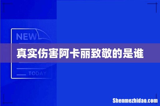 真实伤害阿卡丽致敬的是谁