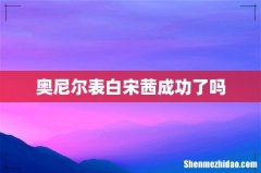 奥尼尔表白宋茜成功了吗