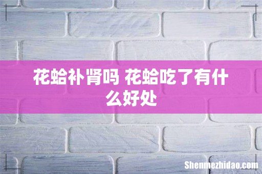 花蛤补肾吗 花蛤吃了有什么好处
