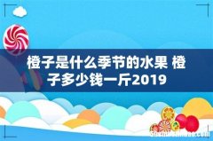 橙子是什么季节的水果 橙子多少钱一斤2019