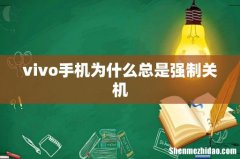 vivo手机为什么总是强制关机