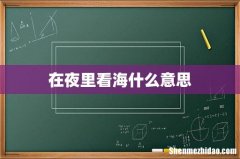 在夜里看海什么意思