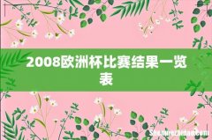 2008欧洲杯比赛结果一览表