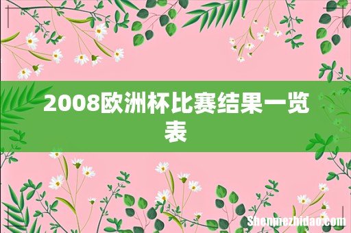 2008欧洲杯比赛结果一览表