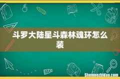 斗罗大陆星斗森林魂环怎么装