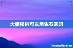 大棚樱桃可以用生石灰吗