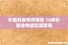 补脑的食物有哪些 10种补脑食物越吃越聪明