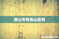 唐山市有泰山区吗
