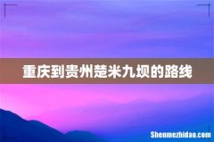 重庆到贵州楚米九坝的路线