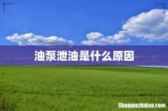 油泵泄油是什么原因