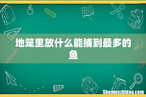 地笼里放什么能捕到最多的鱼