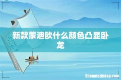 新款蒙迪欧什么颜色凸显卧龙