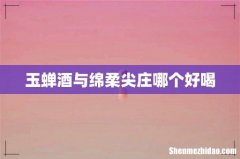 玉蝉酒与绵柔尖庄哪个好喝