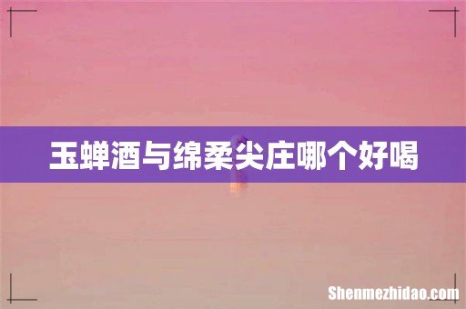 玉蝉酒与绵柔尖庄哪个好喝