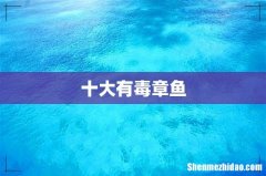 十大有毒章鱼