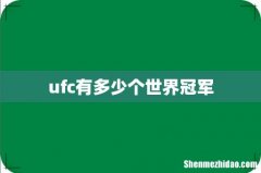 ufc有多少个世界冠军