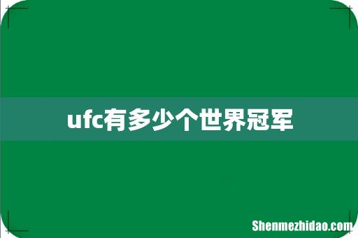 ufc有多少个世界冠军